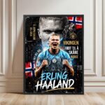 Cuadro recibido: Erling Haaland - Black