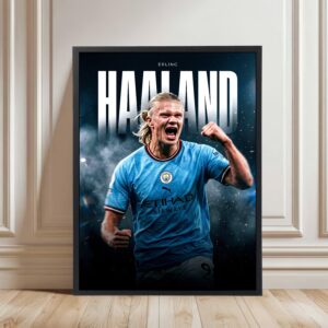 Erling Haaland - Ultra